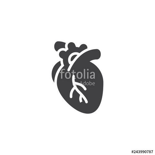 Anatomical Logo - Human heart vector icon. filled flat sign for mobile concept and web