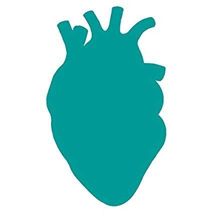 Anatomical Logo - Anatomical Heart Silhouette Cardiologist Logo