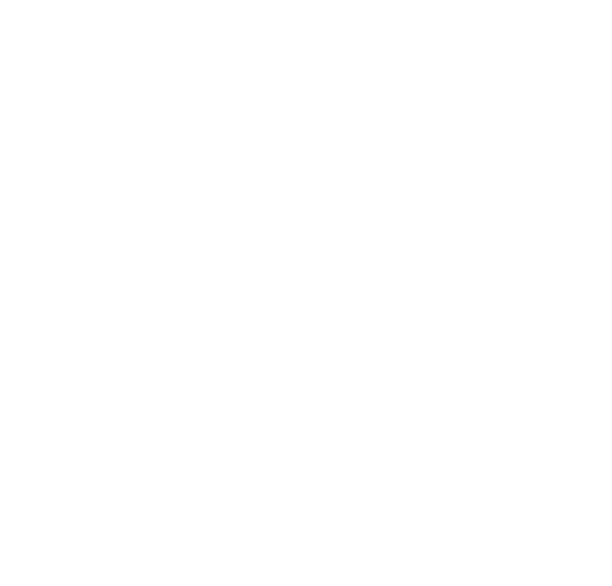 Speak Logo - Youth Speak Forum logo white