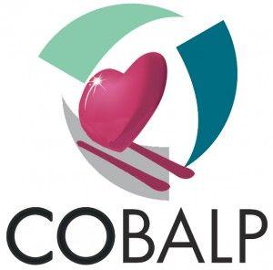 GEC Logo - LOGO COBALP GEC SITE1 300×296 « Glisse En Coeur 2019