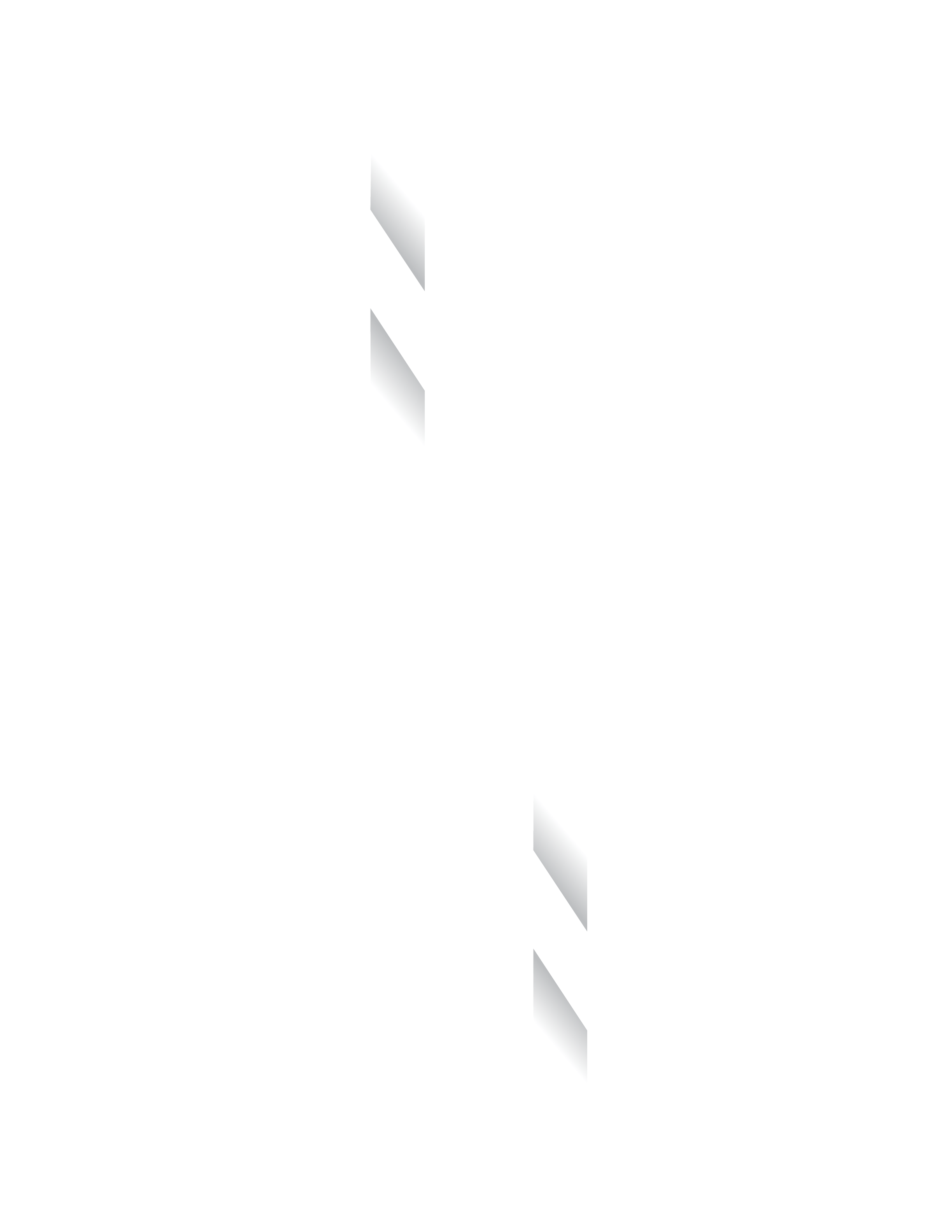 NS Logo - NS Logo