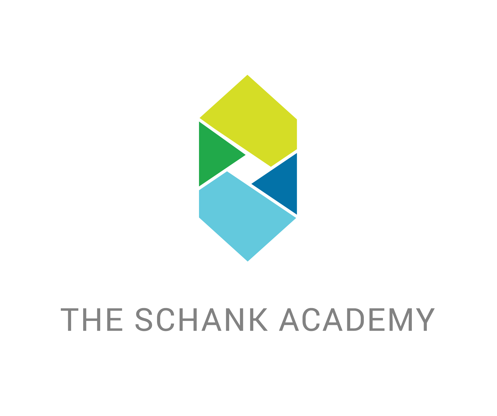 Academy Logo - Cyber Security Programs - The Schank Academy