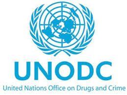 UNODC Logo - UNODC | Career Development Roundtable