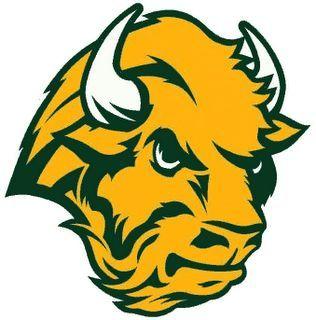 Nsdu Logo - NDSU Bison Old Logo. The lucky team? The North Dakota StateBison