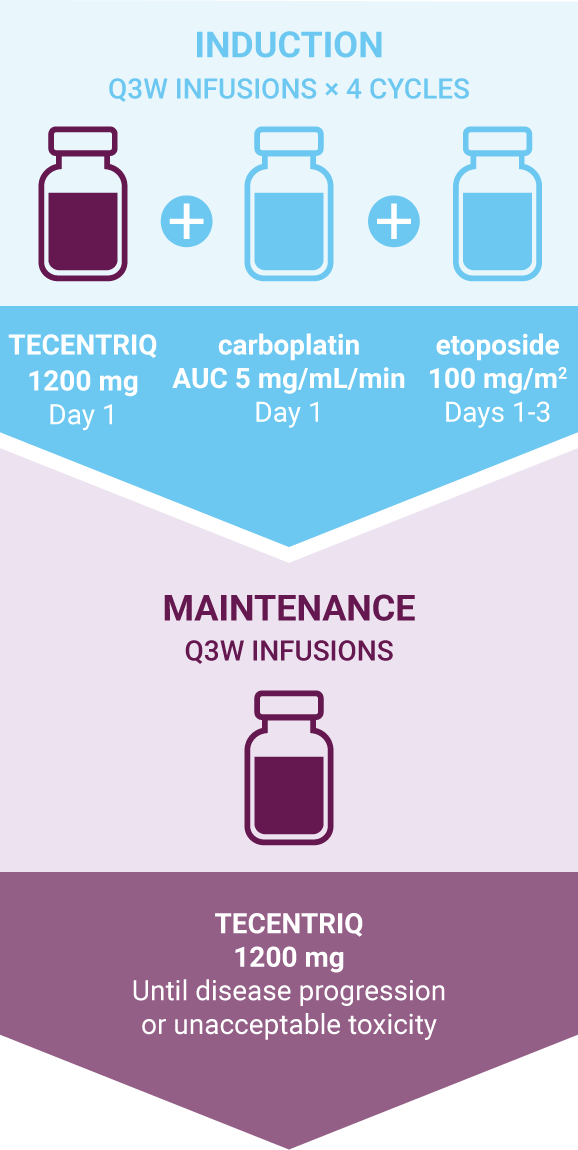 Sclc Logo - TECENTRIQ (atezolizumab) Dosing & Administration