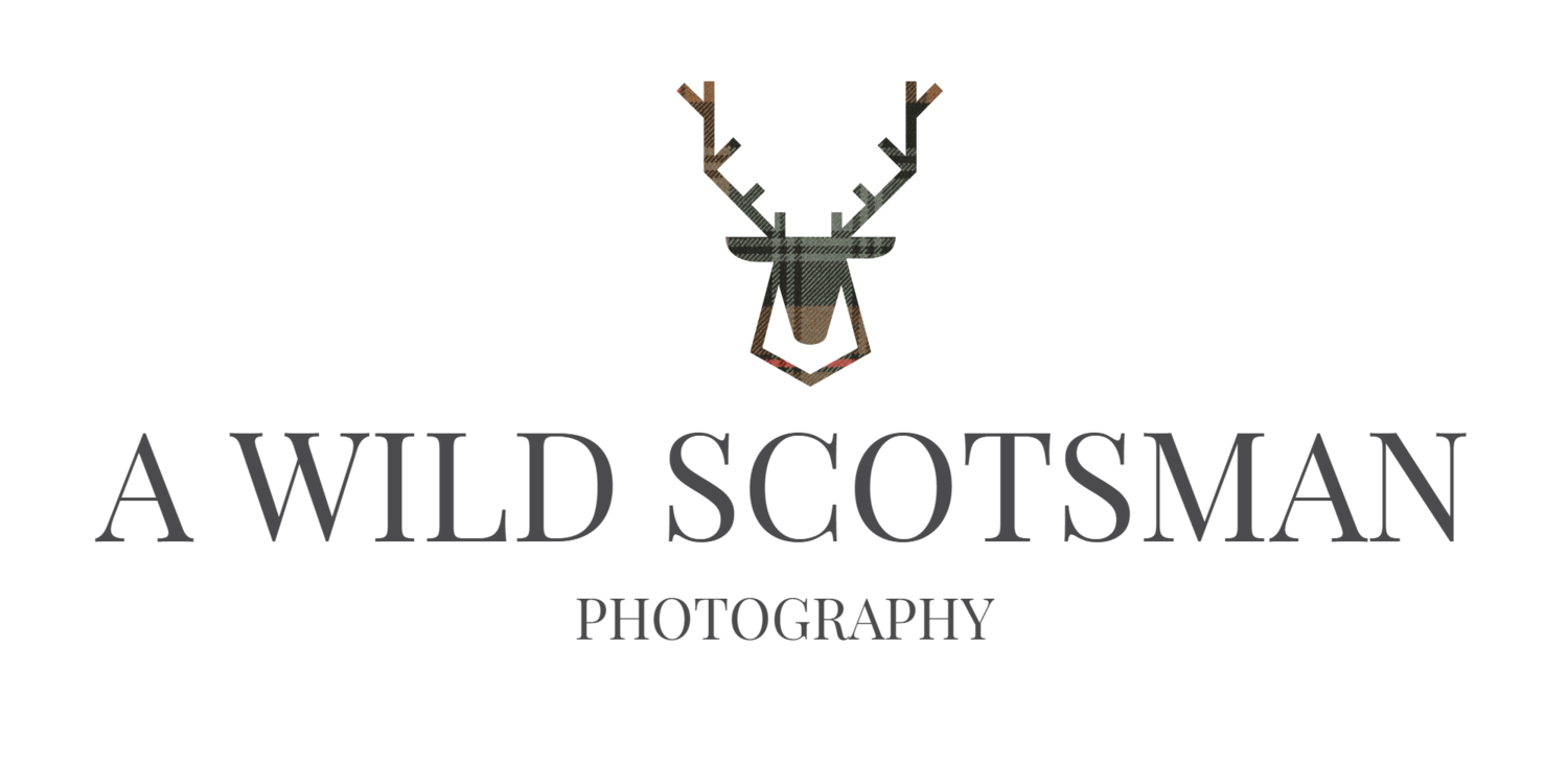 Scotsman Logo - A WILD SCOTSMAN