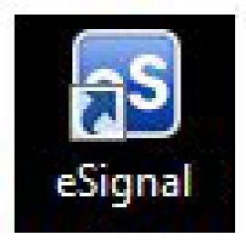 eSignal Logo - eSignal Support | New User Orientation