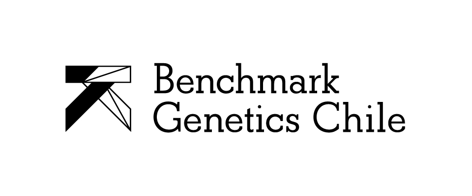 Benchmark Logo - History