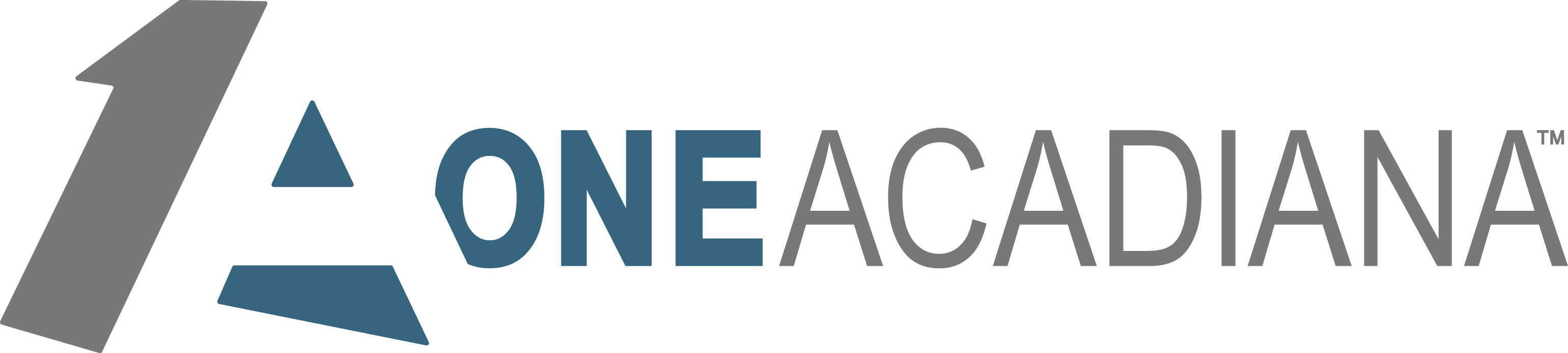 Labi Logo - LABI Legislative Outlook 2017 - Lafayette – LABI: Louisiana ...