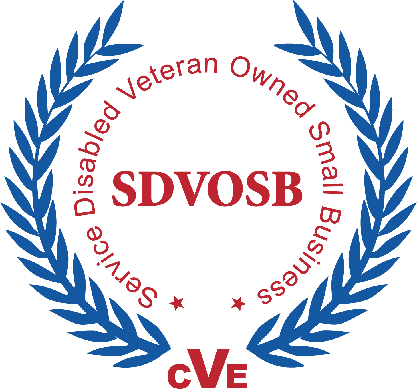 Vosb Logo - SDVOSB Procurement Program – Choisys
