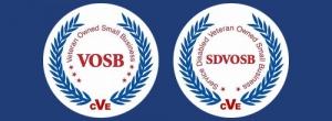 Vosb Logo - Veteran-Owned Small Business Certifications - FedBiz Access