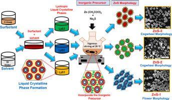 ZNS Logo - Lyotropic liquid crystalline nano templates for synthesis of ZnS ...