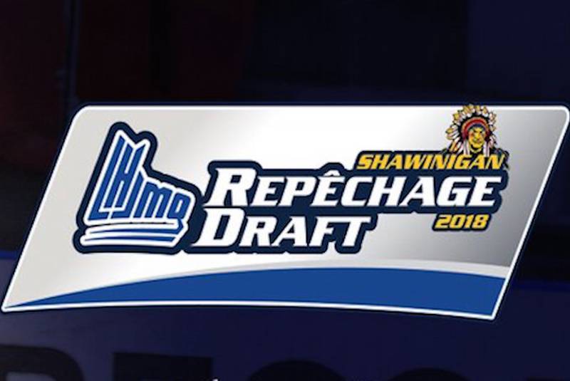 QMJHL Logo - No players from Newfoundland and Labrador near top of rankings