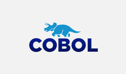 financial accounting program cobol