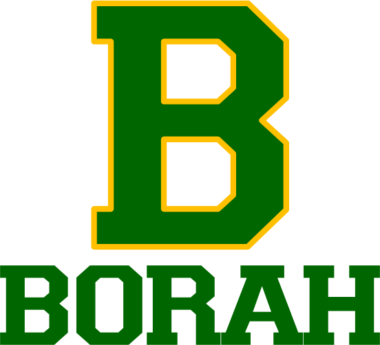 Borah Logo - Students High School