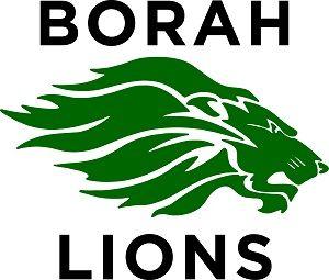 Borah Logo - My High School & DTEC High School