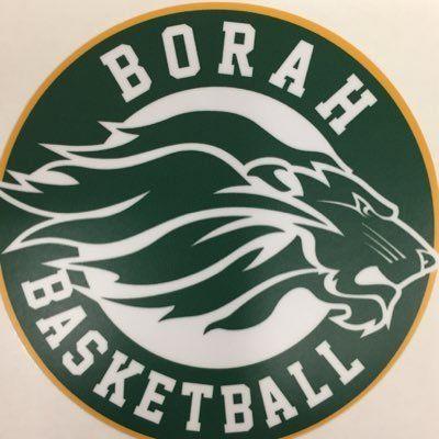 Borah Logo - Borah boys hoops