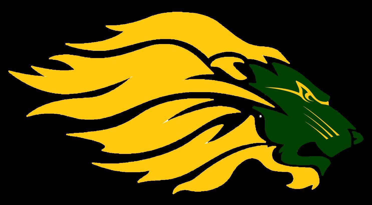 Borah Logo - Girls' Varsity Basketball High School, Idaho