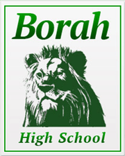 Borah Logo - Borah High School