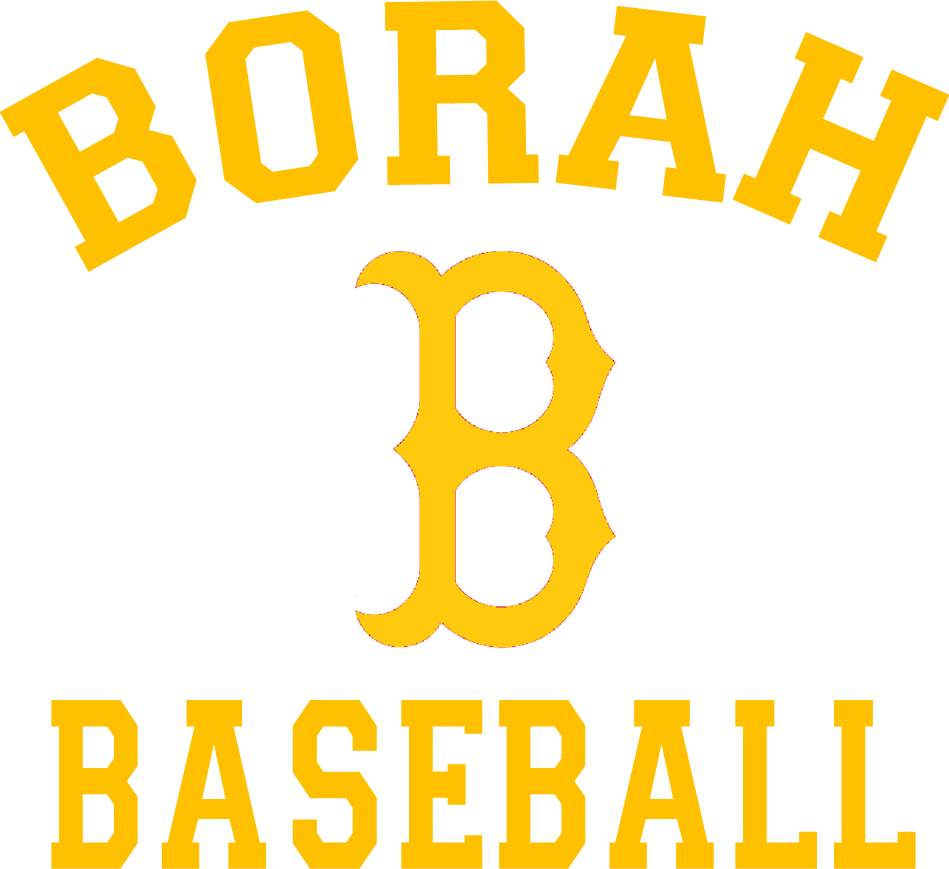 Borah Logo - Baseball Program Logo 9. Borah Lions Baseball