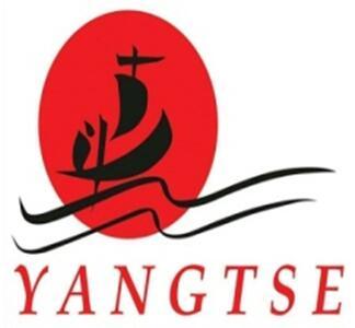 Yangtse Logo - Shenzhen Yangtse Tech Co., Ltd. - Digital Accessories, Converters