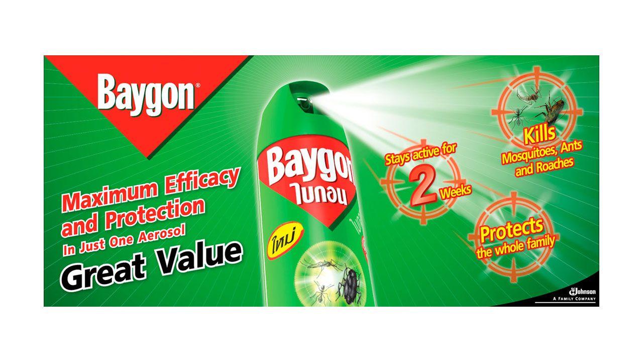 Baygon Logo - Baygon Value for money | Design & Innovation Consulting Firm
