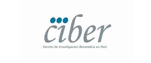 Ciber Logo - Ciber Logo Sm