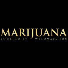 Marijuana.com Logo - Top 20 Best Marijuana Sites Ranked 2019