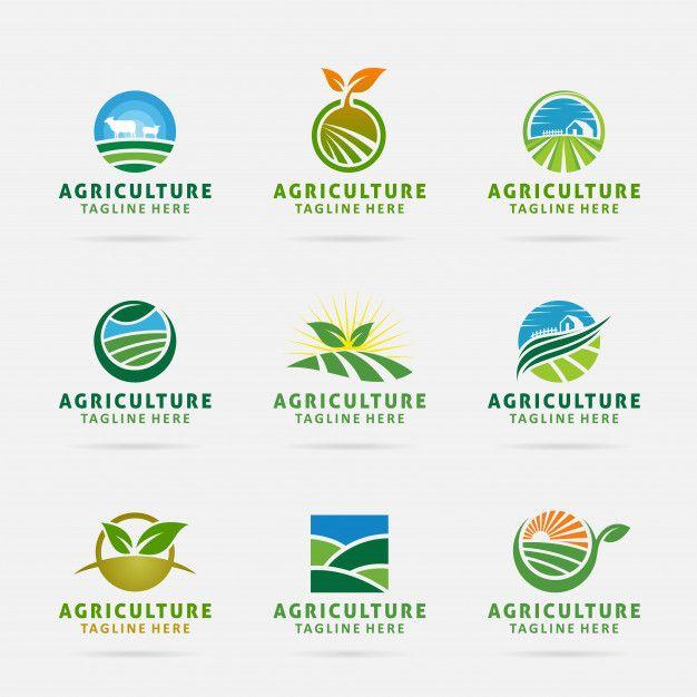 Agricultue Logo - Collection of agriculture logo design Vector