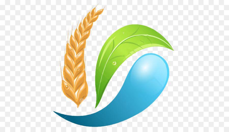 Agricultue Logo - Agriculture Plant png download*512 Transparent