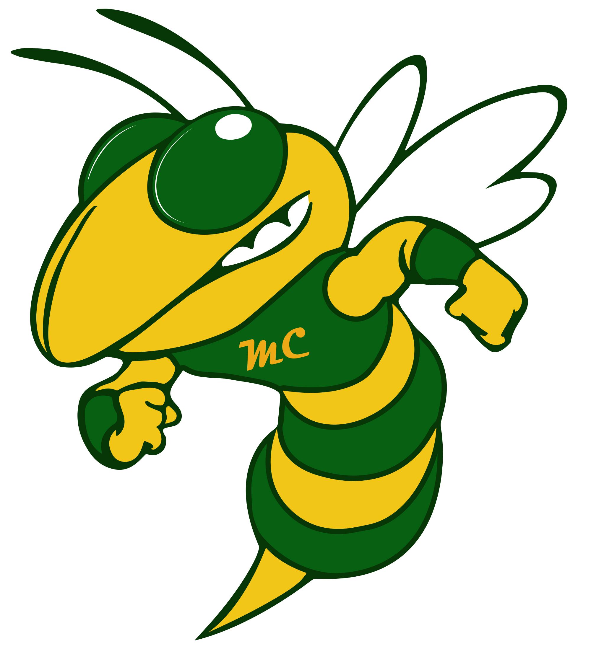 Stingers Logo - Stingers Logo - Miscellaneous - Marion Center Area School District