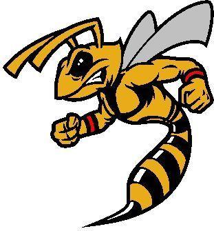 Stingers Logo - New logo for the Cincinnati Stingers | Uniform Concepts ... | WHA ...