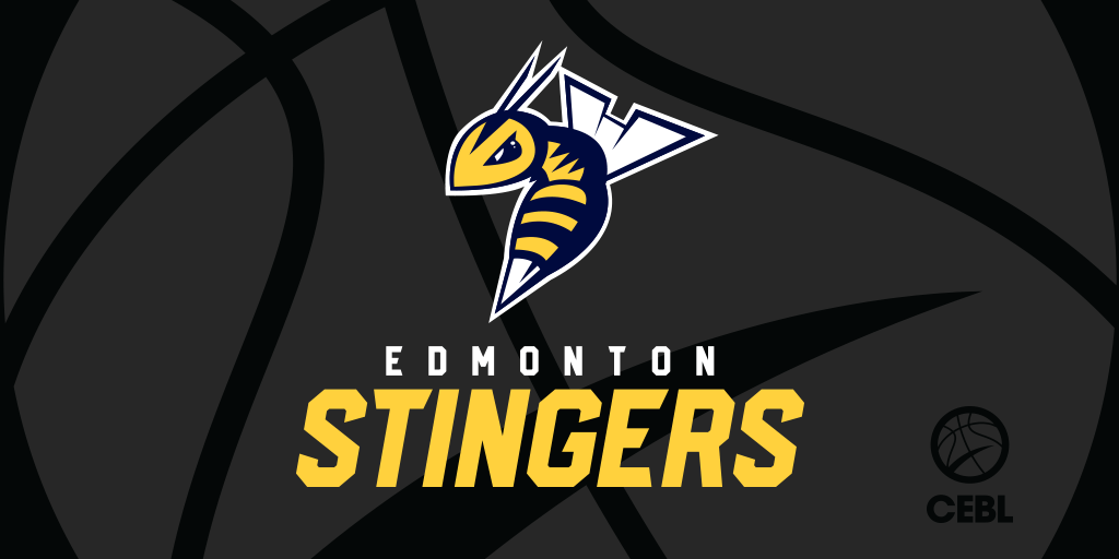 Stingers Logo - CTV - Edmonton professional basketball team announces name, logo