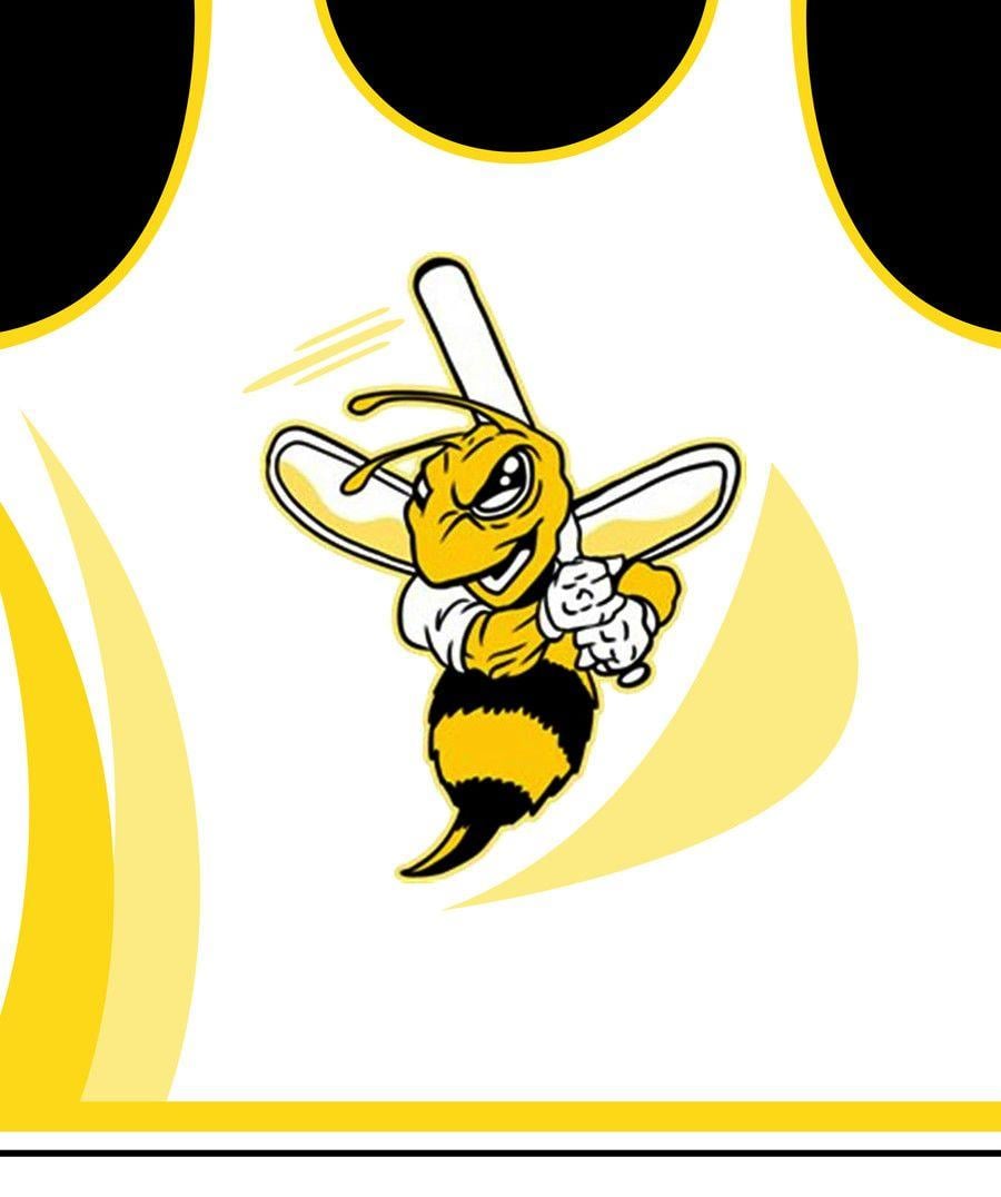 Stingers Logo - Entry #9 by dln82 for Design a Logo for Stingers Softball Team ...