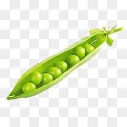 Peas Logo - Green Peas PNG - cartoon-green-peas draw-green-peas bowl-of-green ...