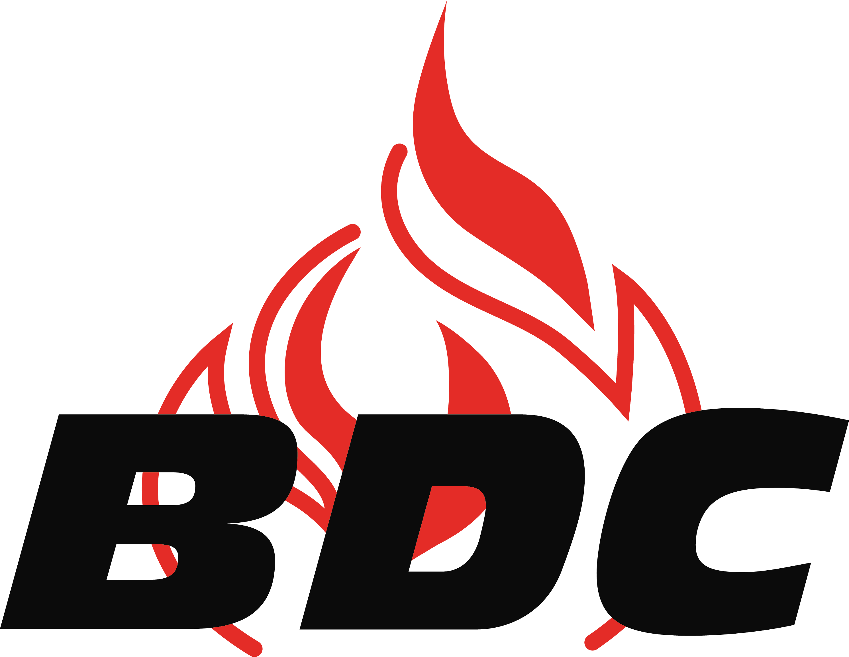 BDC Logo - Brand Assets - BDC