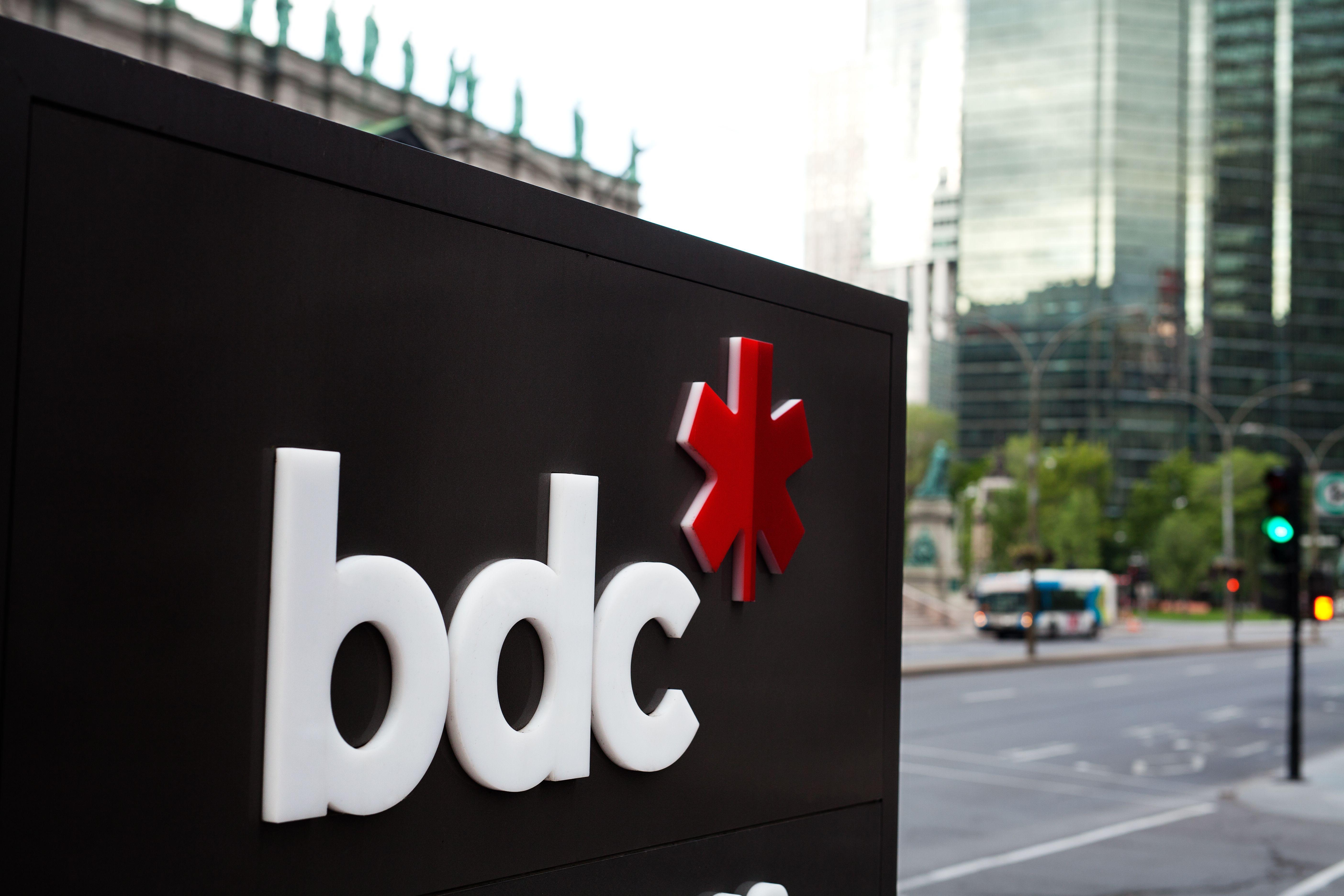 BDC Logo - Visuals and logos