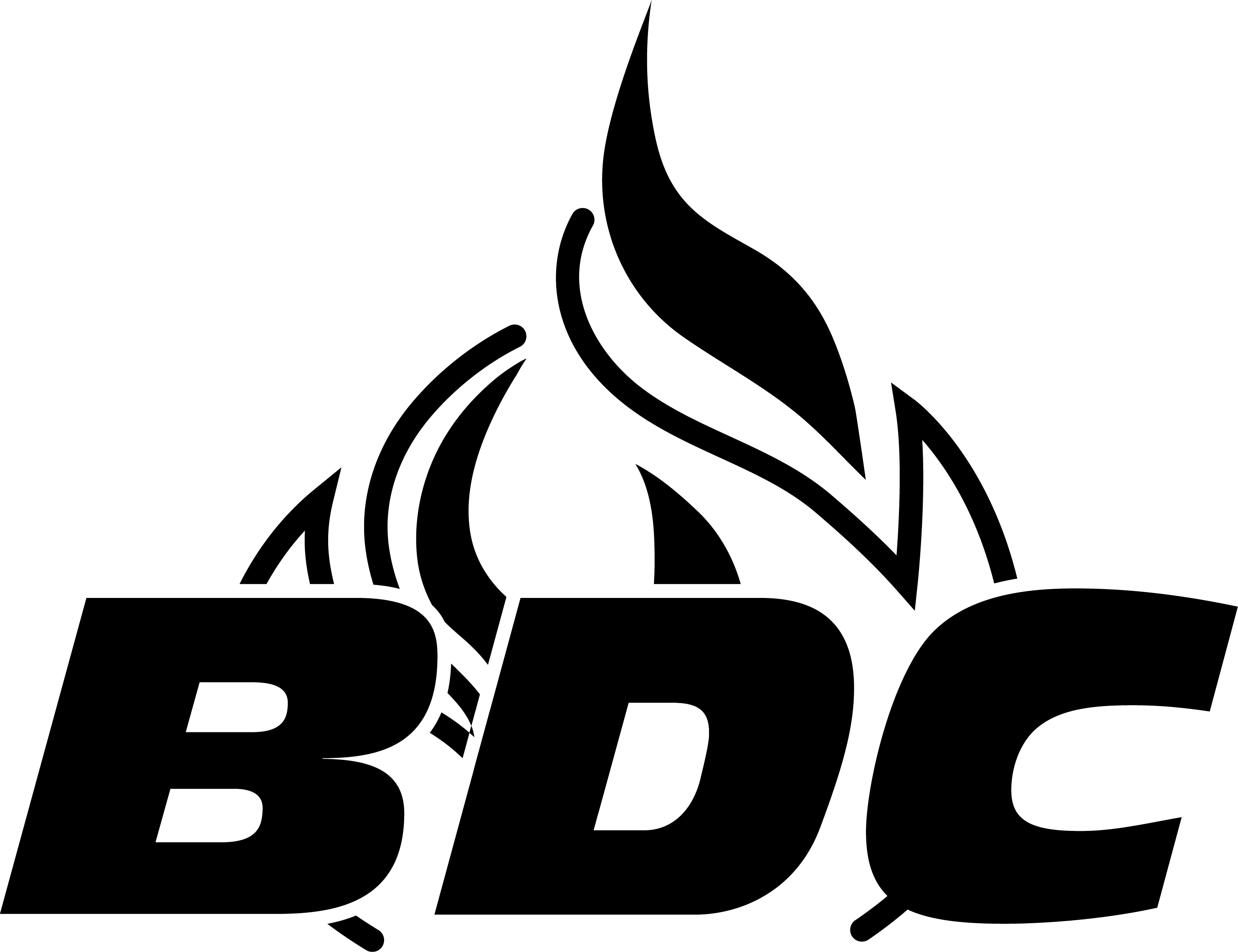 BDC Logo - Brand Assets