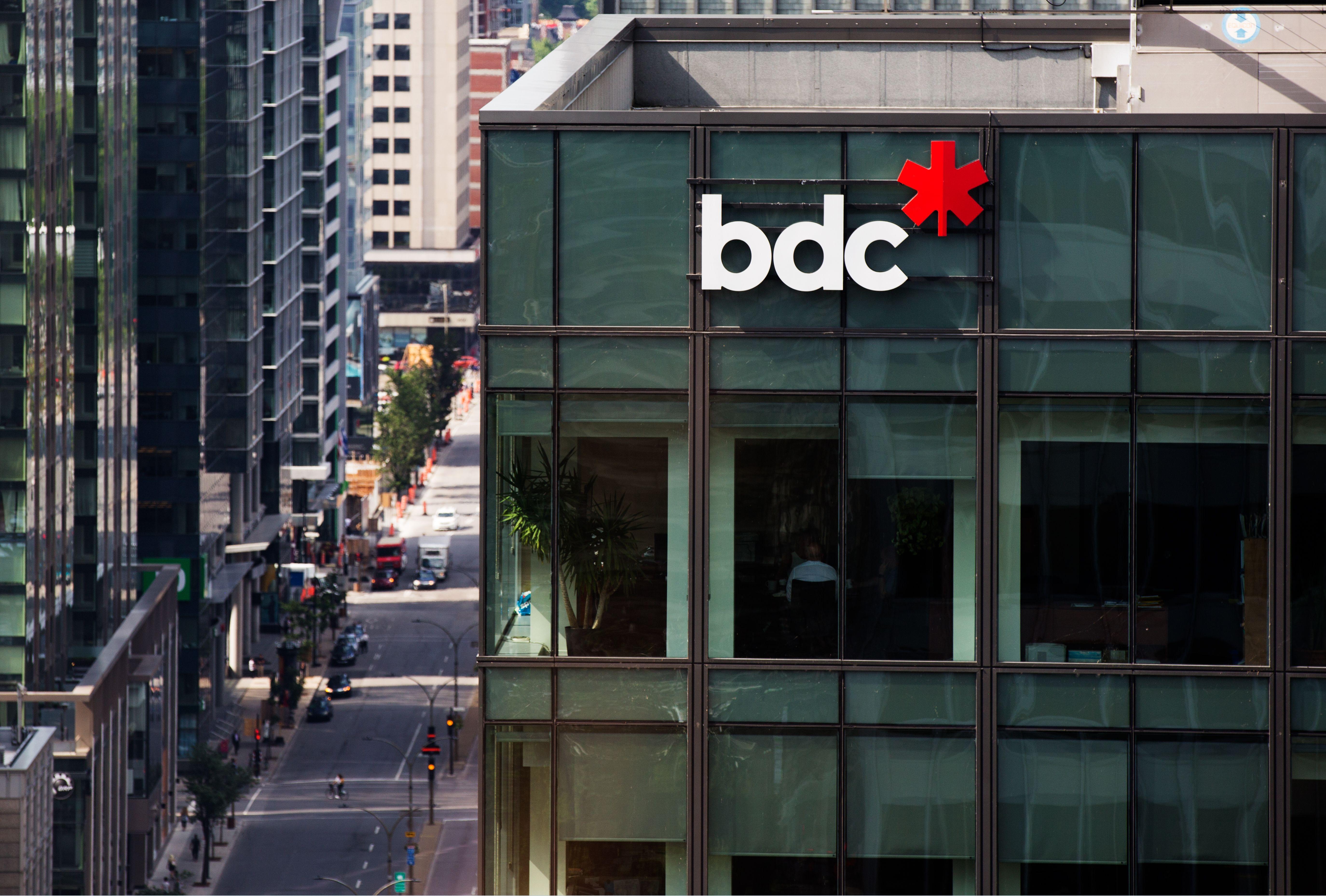 BDC Logo - Visuals and logos