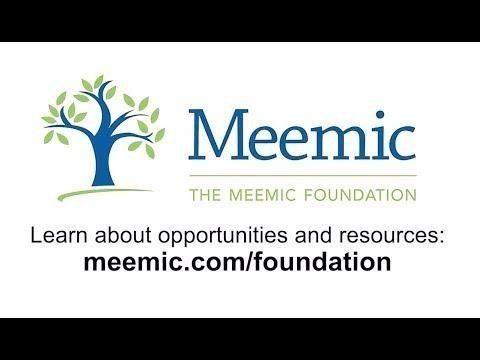 Meemic Logo - Pam Harlin - Director, The Meemic Foundation for the Future of ...