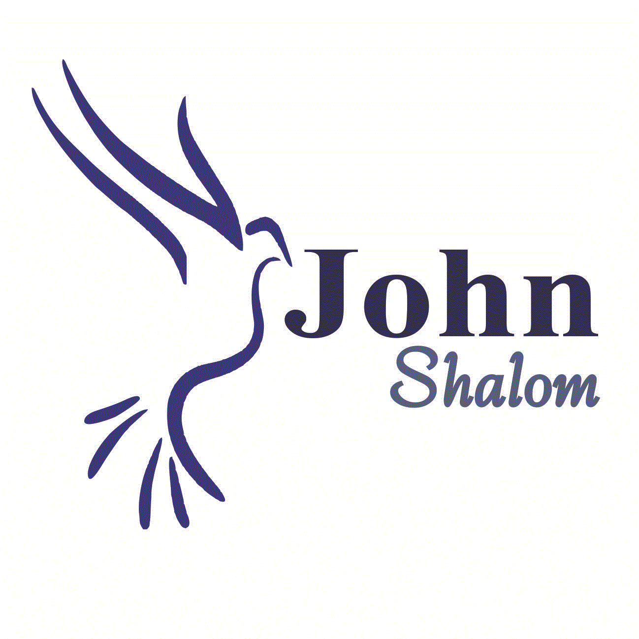 Shalom Logo - John Shalom Walkthroughs with Tips and Tricks (5 steps) | John Shalom