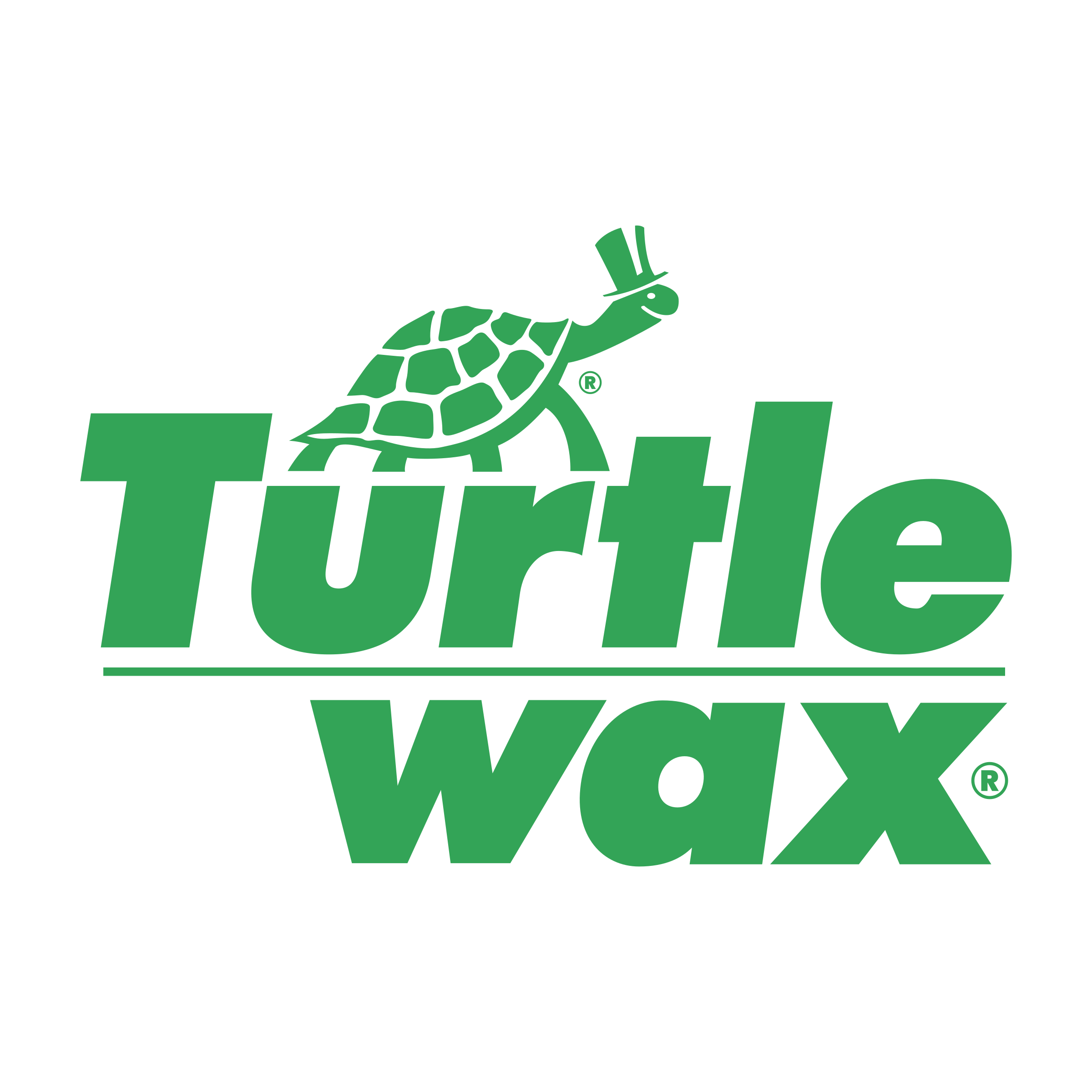 Wax Logo - Turtle Wax Logo PNG Transparent & SVG Vector - Freebie Supply