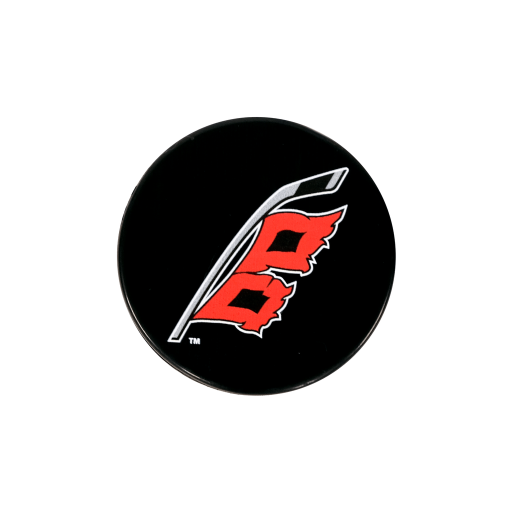 Hurricanes Logo - Hurricanes Secondary Logo Puck