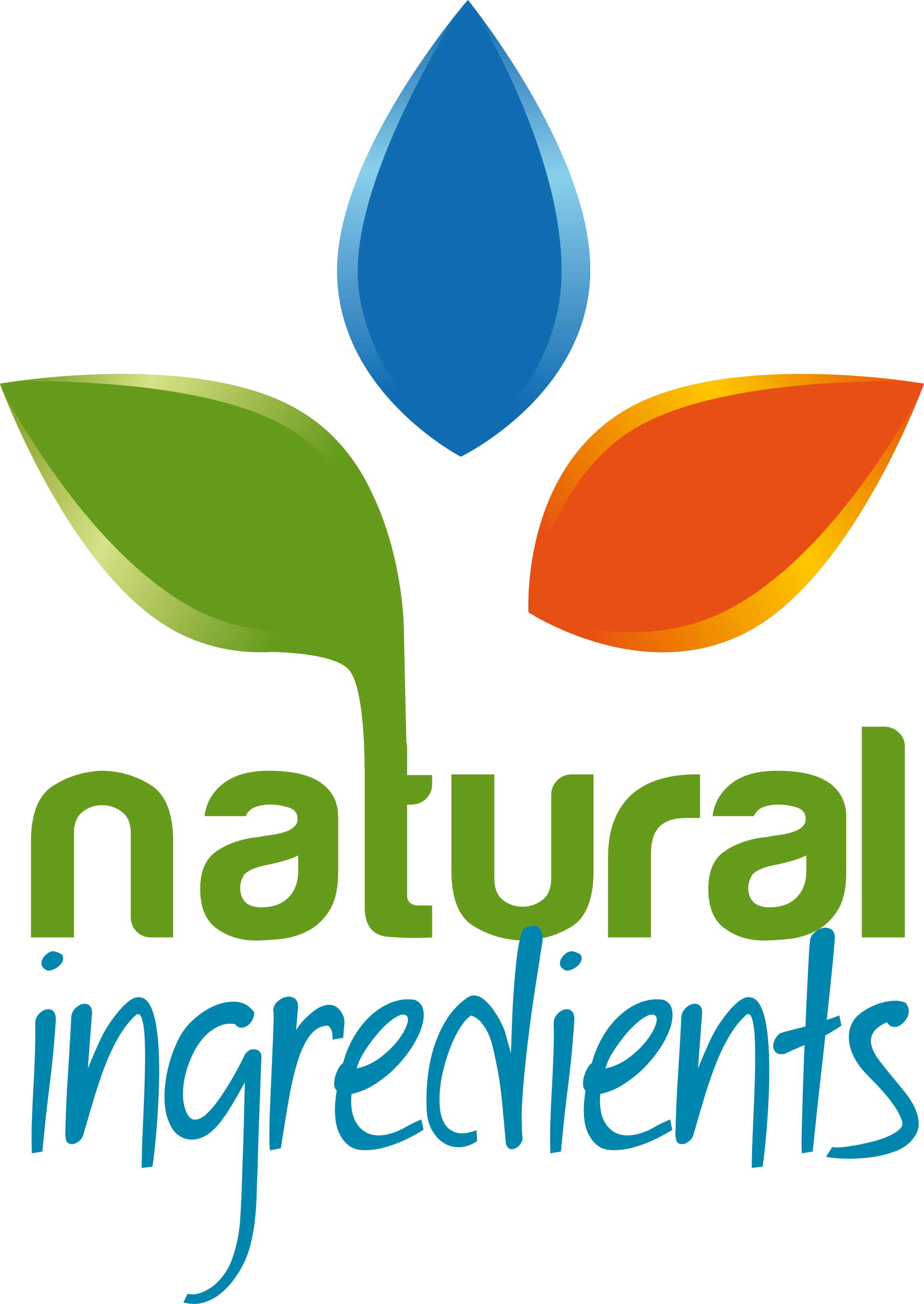Ingredients Logo - Company – Natural Ingredients