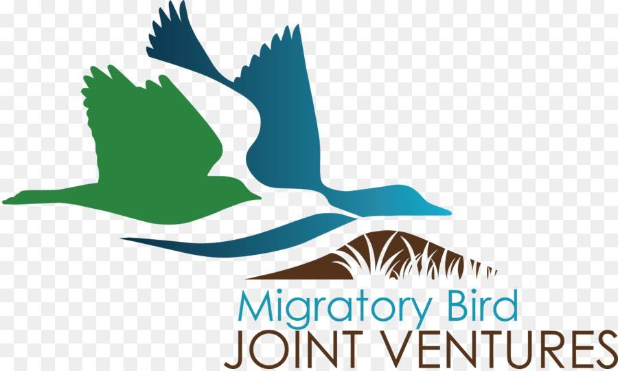 Migration Logo - Bird Beak png download*1016 Transparent Bird png Download