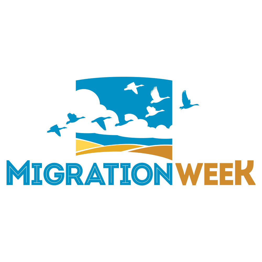 Migration Logo - Home
