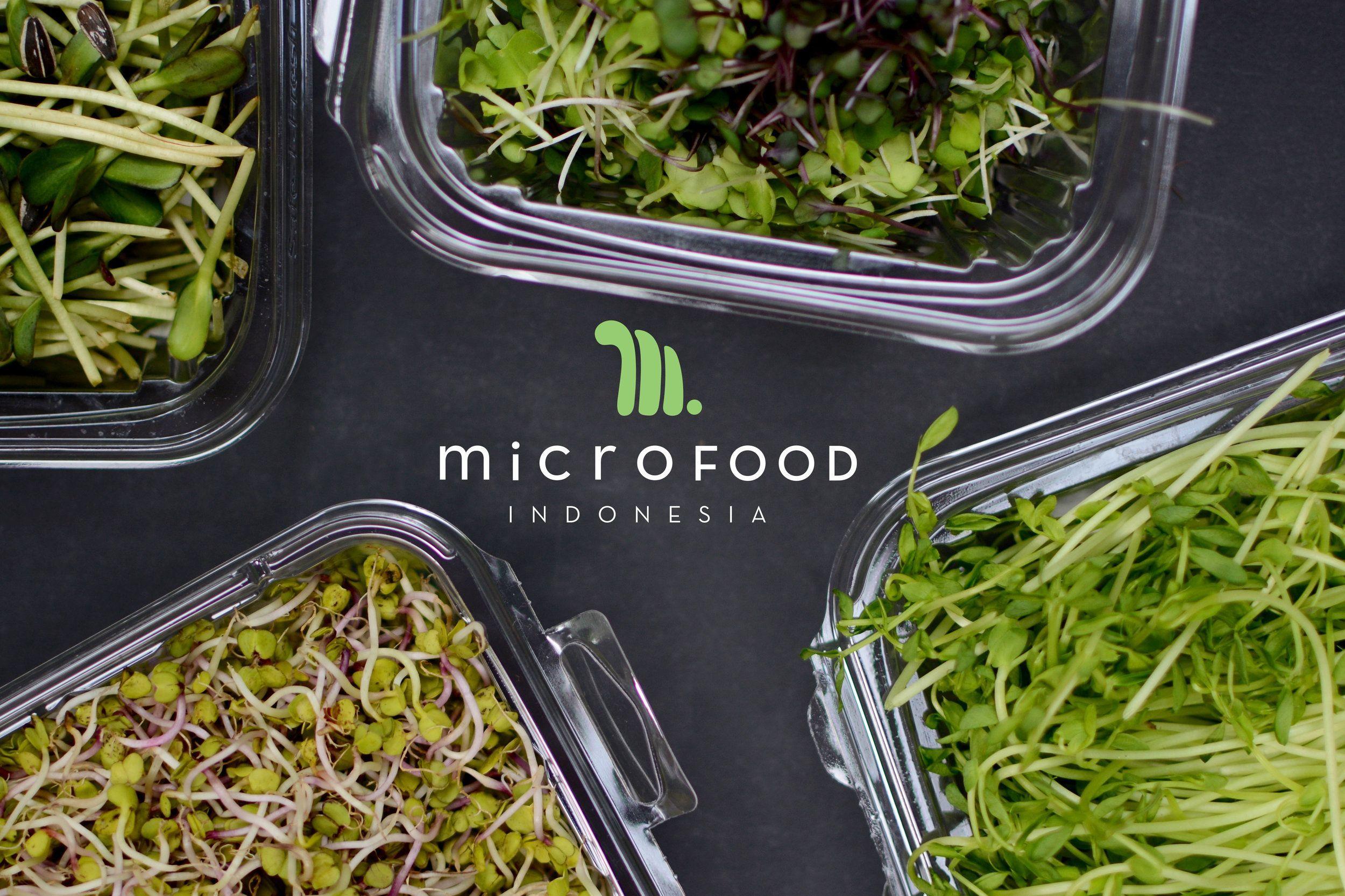 Microgreens Logo - Microfood Logo #logo #logodesign #microgreens www.sabikdesign.com ...
