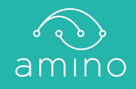 Pay Logo - Programmatic Advertising Transparency | Amino Payments