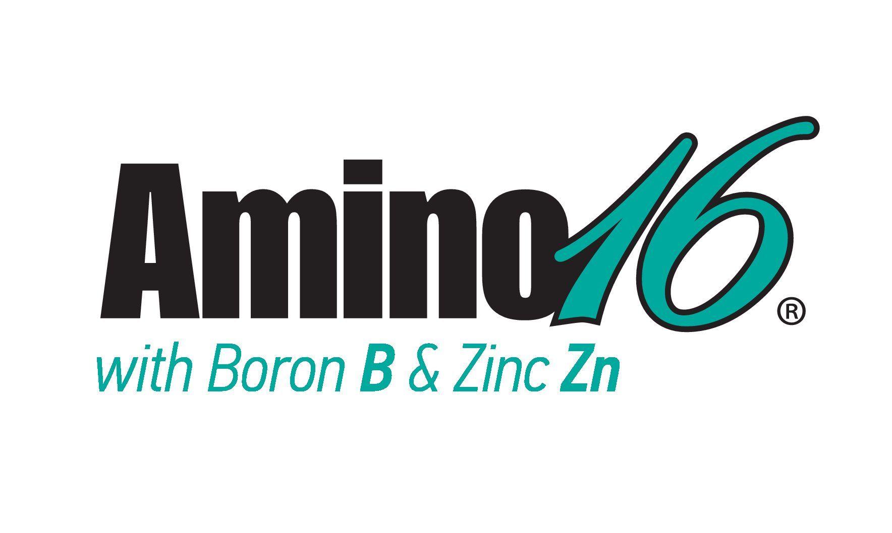 Amino Logo - Amino 16 with B & Zn – EVYP