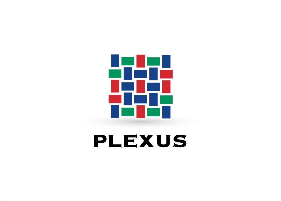 Plexus Logo - GraphicShop Portfolio - South for Construction